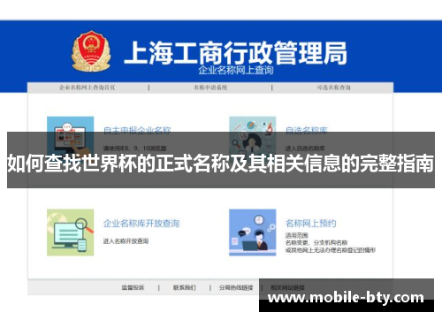 如何查找世界杯的正式名称及其相关信息的完整指南