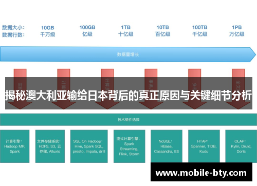 揭秘澳大利亚输给日本背后的真正原因与关键细节分析