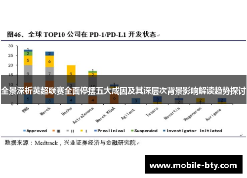 全景深析英超联赛全面停摆五大成因及其深层次背景影响解读趋势探讨